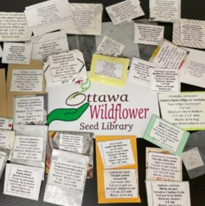 The OWSL surrounded by hand-made seed envelopes.