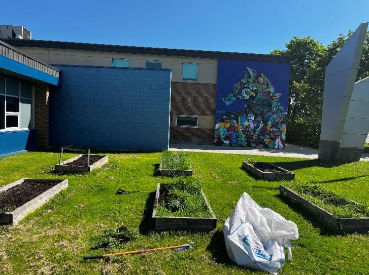 Raised gardens at Charlotte Lemieux in their courtyard.