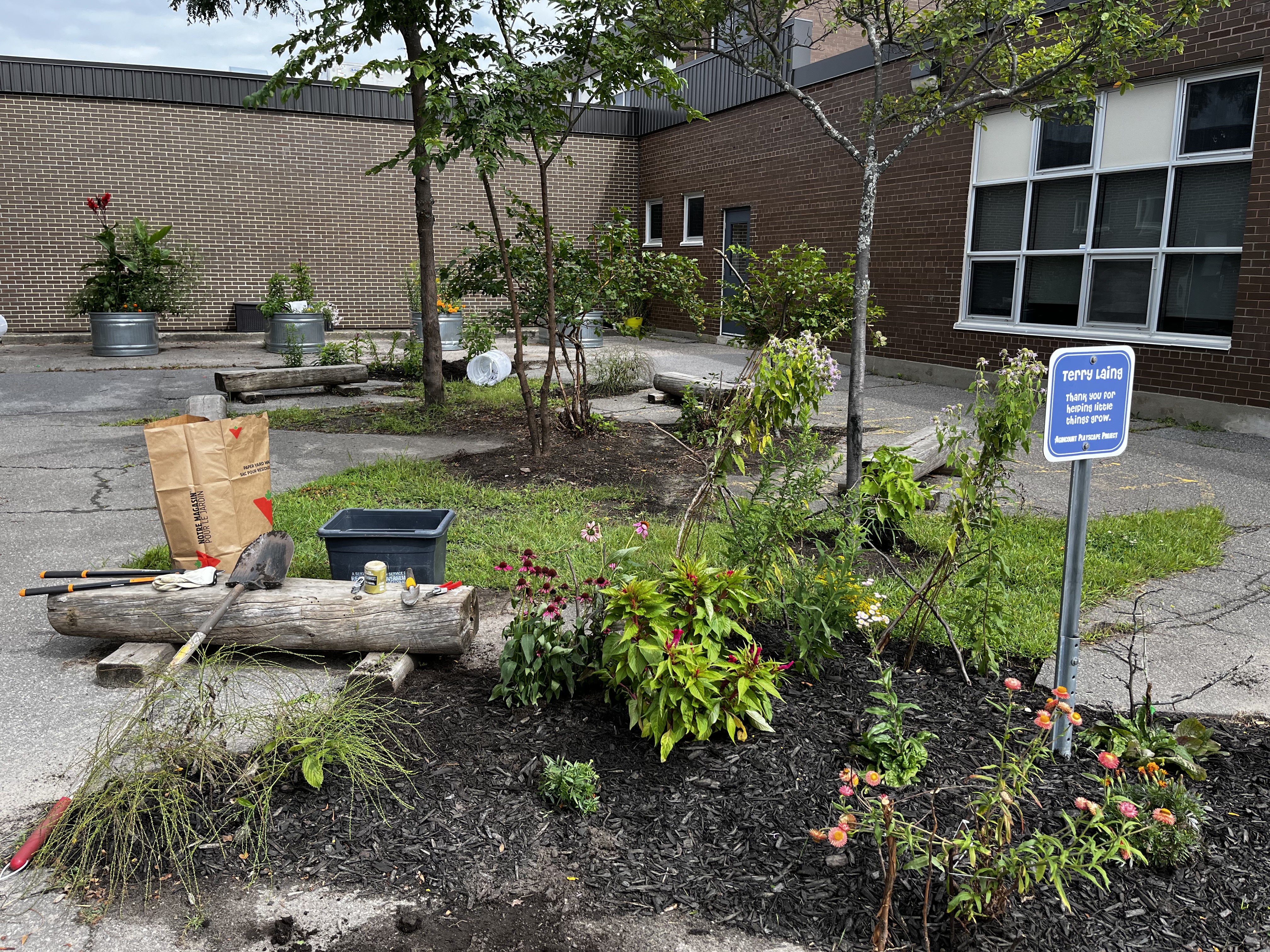 Revamping the Agincourt School Gardens