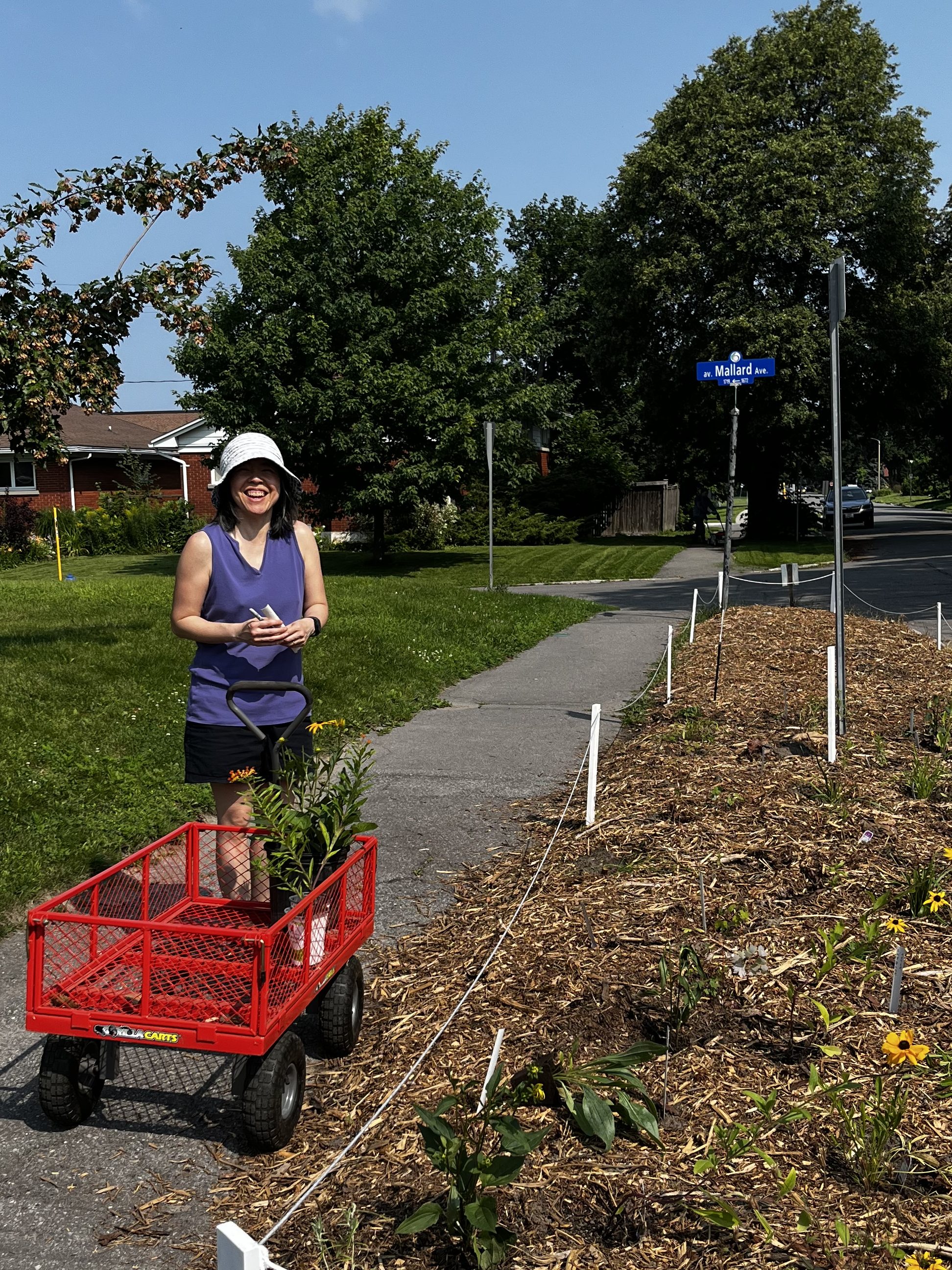 Grace standing on the sidewalk beside our boulevard garden with plants around her. 