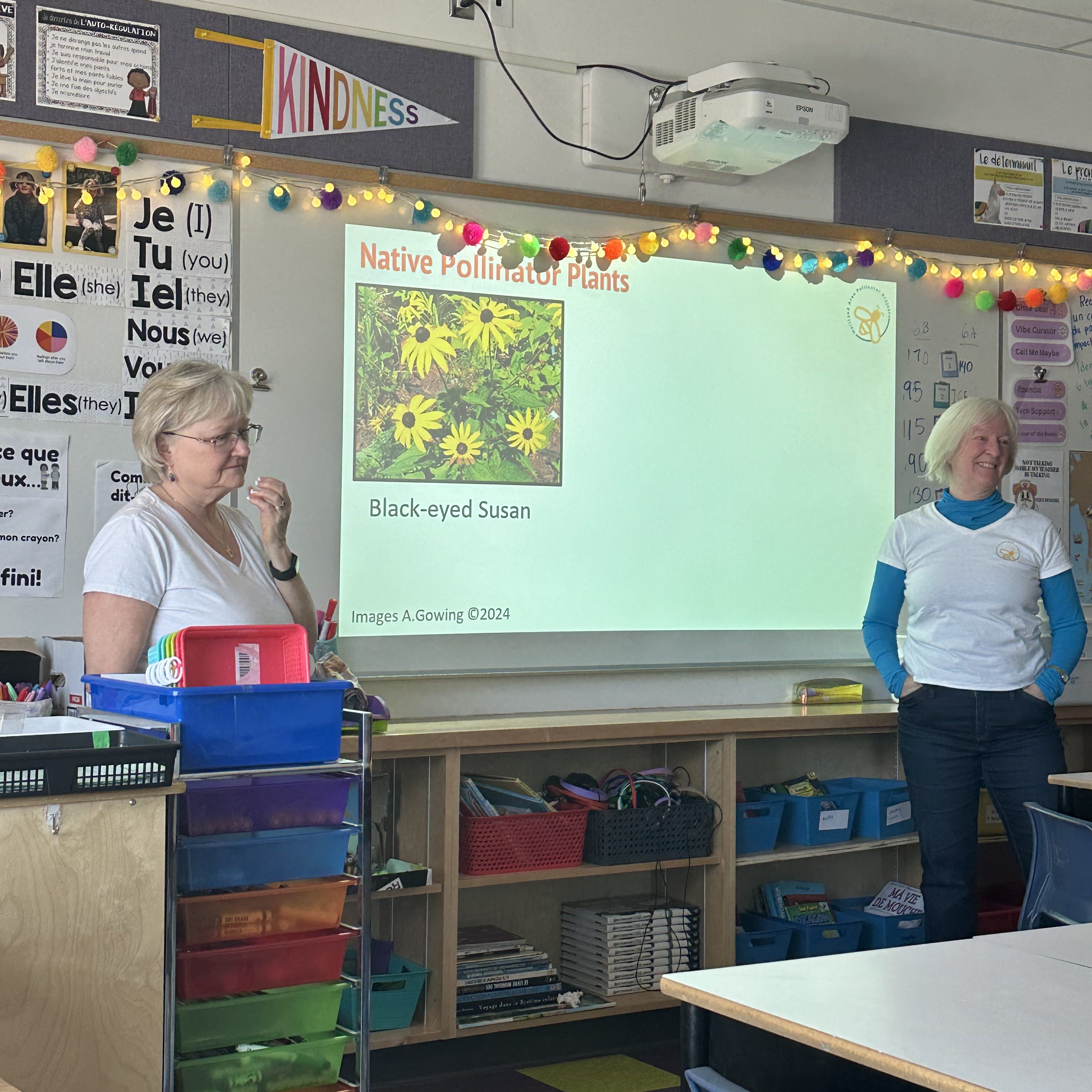 Agincourt Road P.S. Grade 6 Pollinator Project