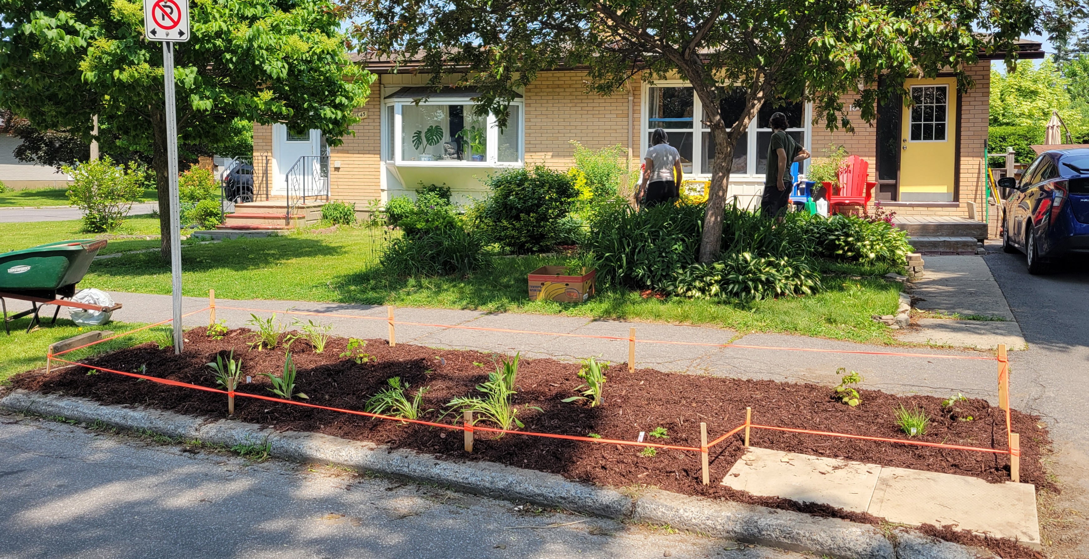 Completed boulevard garden.