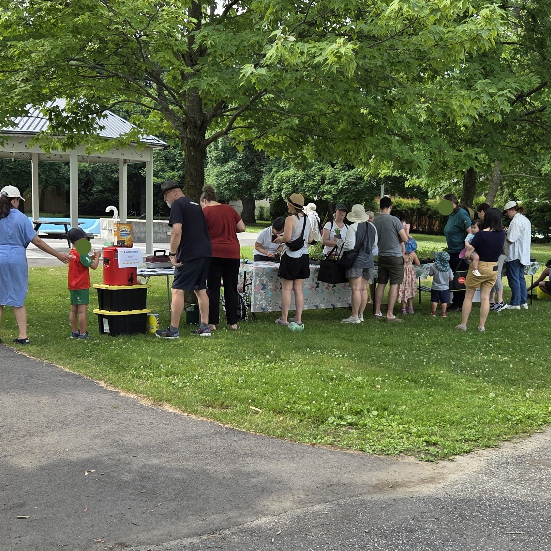 Many people gathered around tables in a park at a sale. 